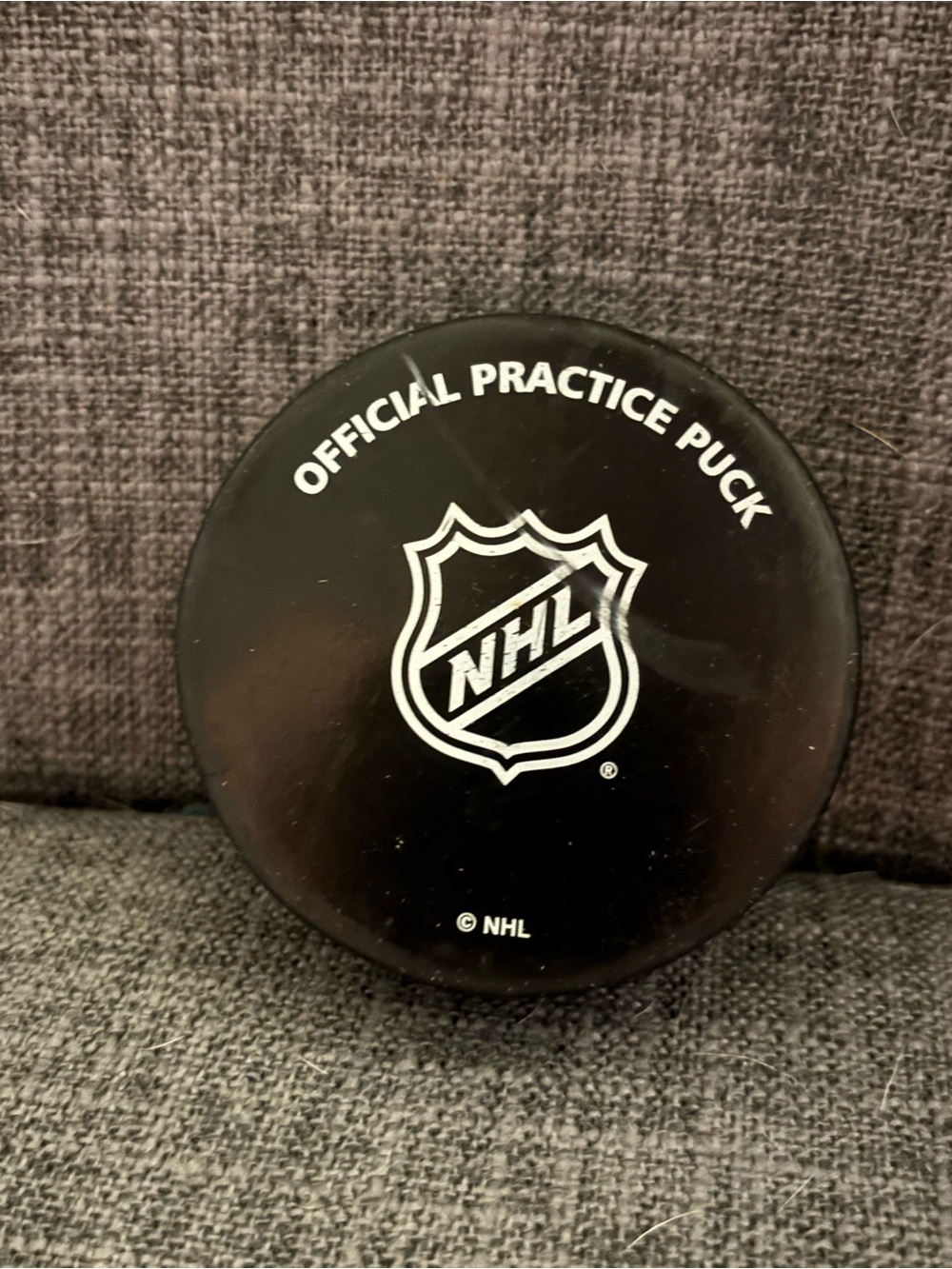 NHL Official Practice Hockey Puck